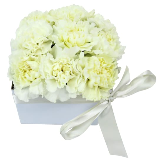 Little Flower Box - White - Standard