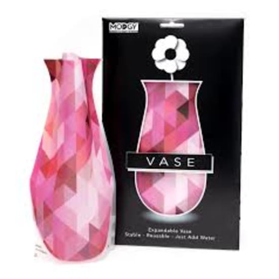 Modgy Reggie Vase - Standard