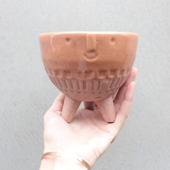 Face Planter - Small - Standard