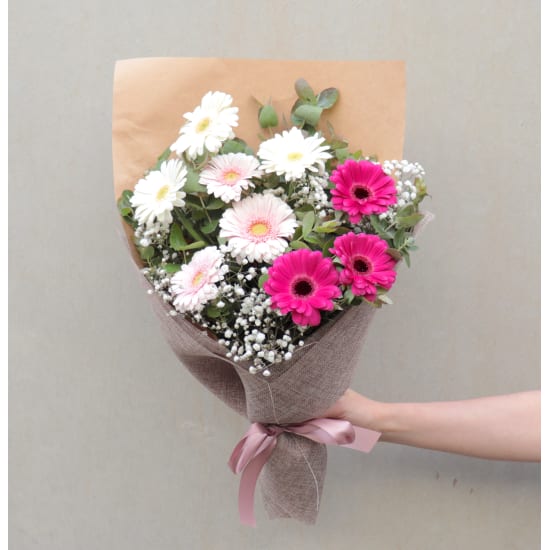 Mini Gerbera Delight - Standard