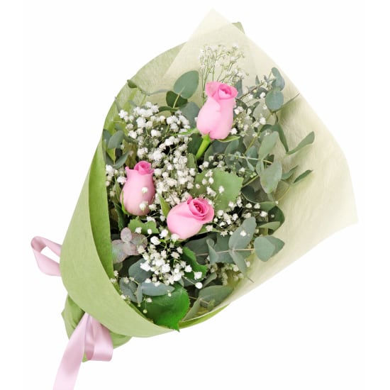 Rambling Soft Pink Roses - Standard