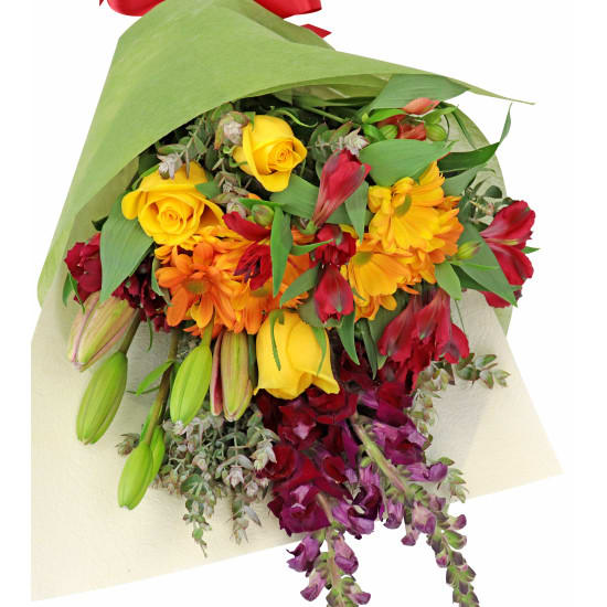 Mothers Day Love Unfolds - Standard