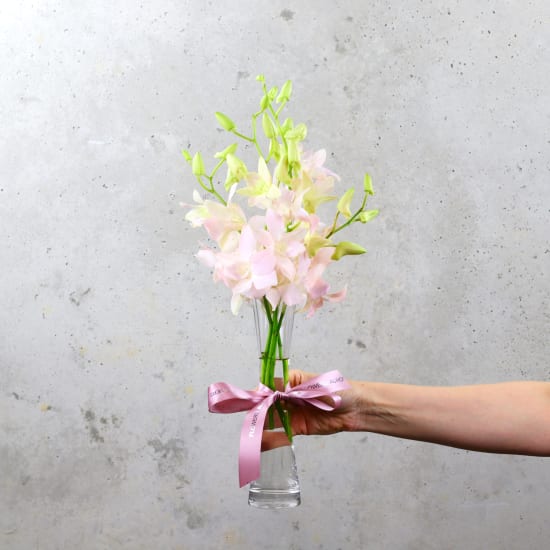 Simply Grace - Standard