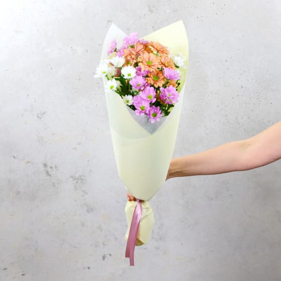 Chrysanthemums - Mixed Pastels - Standard