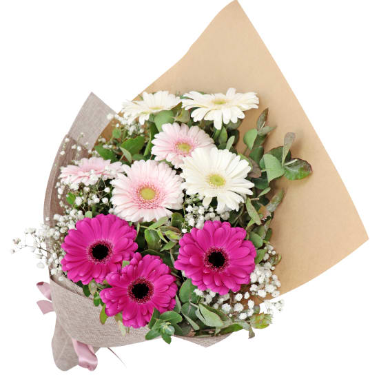 Mini Gerbera Delight - Standard