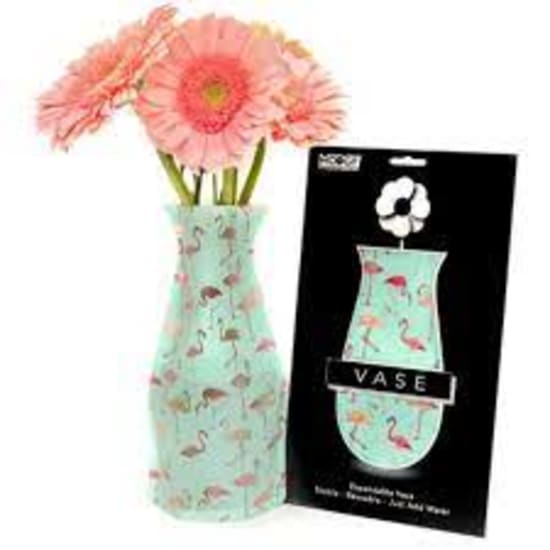 Modgy Pinkdo Vase - Standard