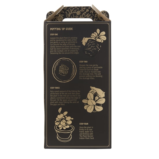 Indoor Potting Mix - Standard