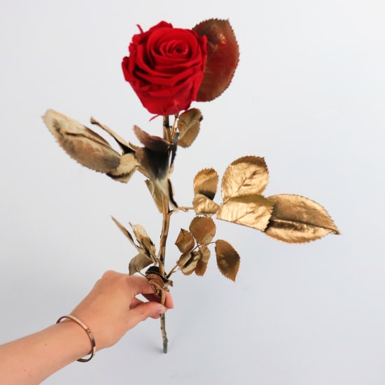 Preserved Red Rose Gold leaves - Standard