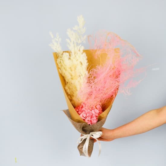 Coconut Ice Dried Flowers - Standard