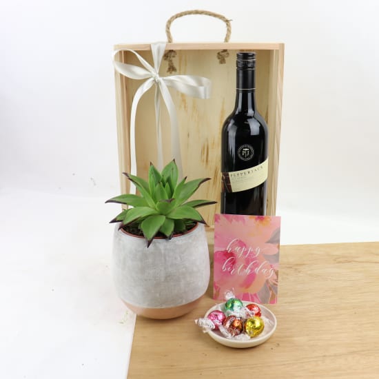 Happy Birthday Plant Hamper - Standard