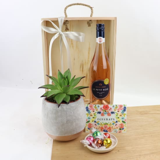 Congrat's Rose Plant Hamper - Standard