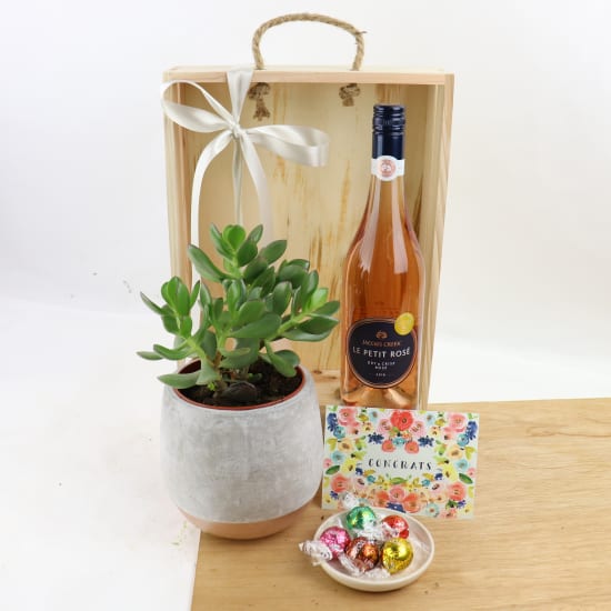 Congrat's Succulent Hamper - Standard