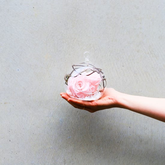 Preserved Pink Rose Orb - Deluxe