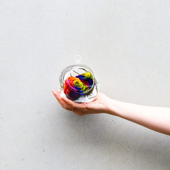 Preserved Rainbow Rose Orb - Deluxe