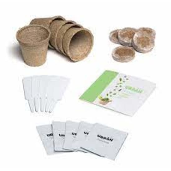 Urban Greens - Kitchen Herbs - Standard