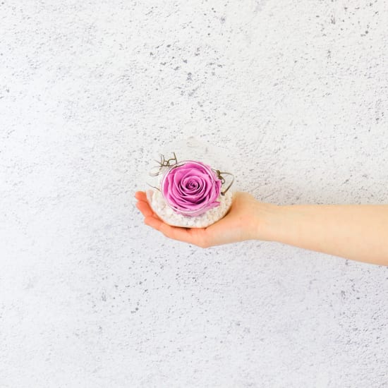 Preserved Purple Rose Orb - Standard