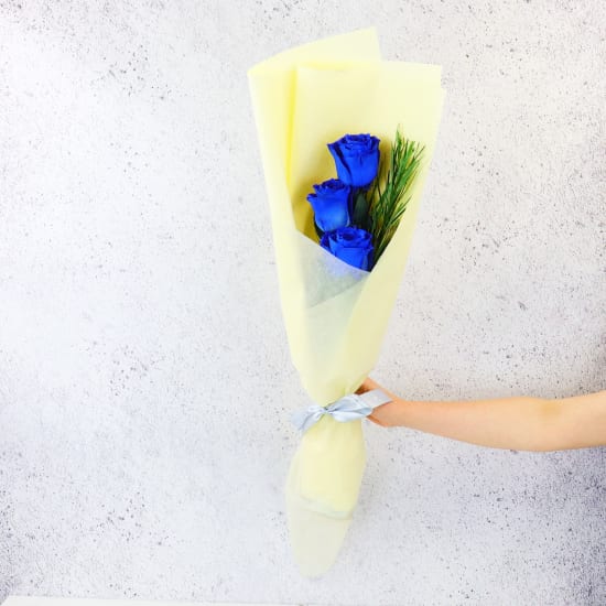 Blue Roses - Standard