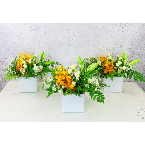 Tropicalia Centrepieces - Standard