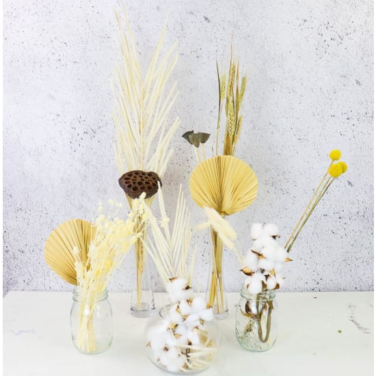 Surprise Dried Party Vases - Standard