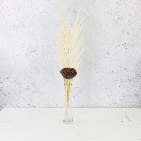 Surprise Dried Party Vases - Standard