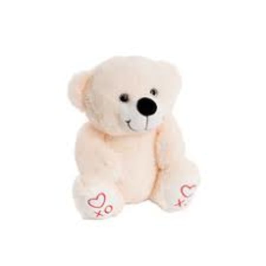 XO Paw Teddy Bear Flowers Online
