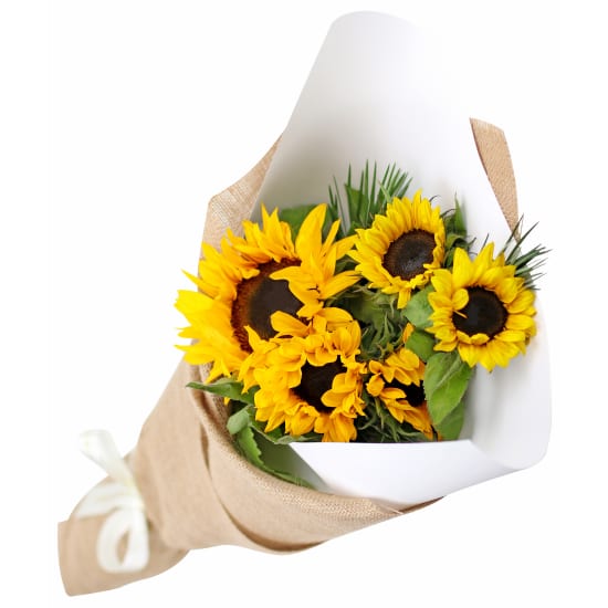 Sunflowers - Standard