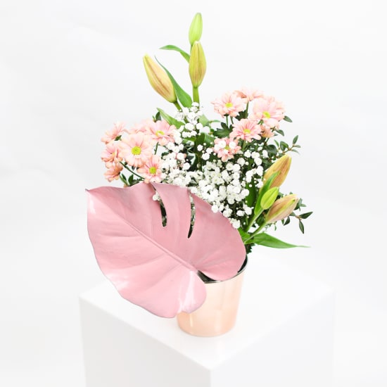 Rose Gold  Blush - Standard