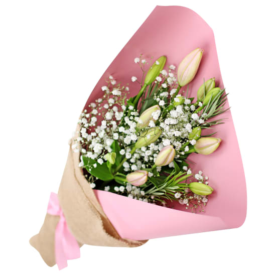 Lily Lady - Standard