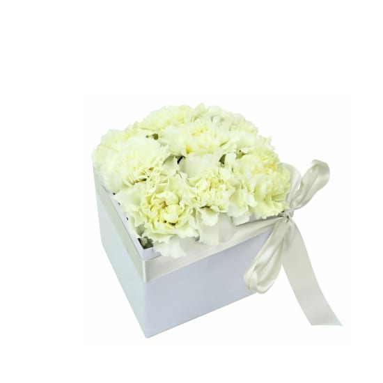 Little Flower Box - White - Standard