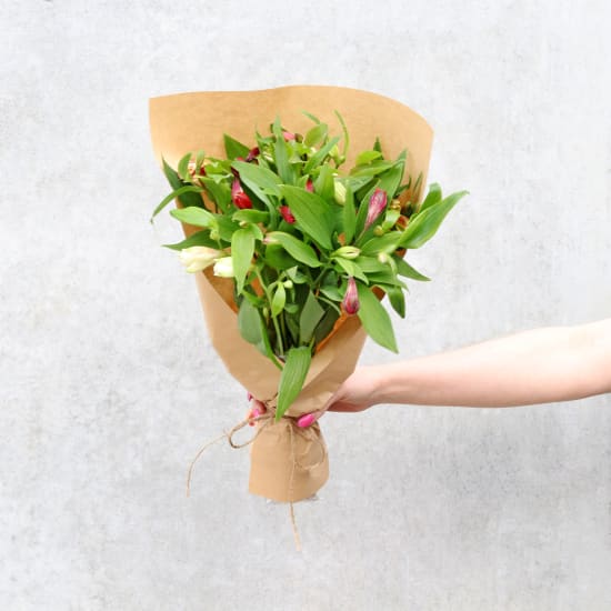 Market Bunch - Alstroemeria - Standard