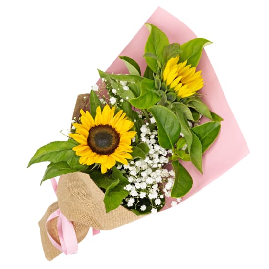 Cheerful Sunflowers - Standard