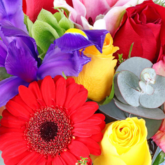 Florist Choice Mini Box - Standard