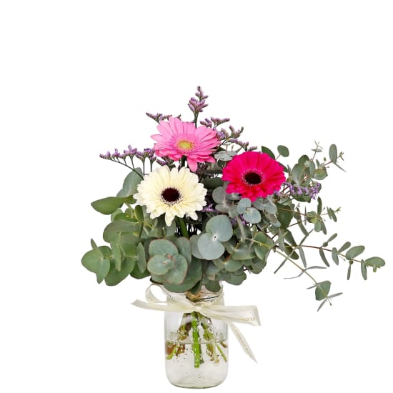 Mini Gerbera Blossoms - Standard