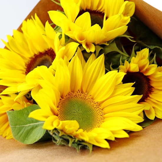 Market Bunch - Sunflowers - Standard