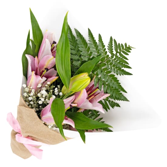 A Little Something Bunch - Standard