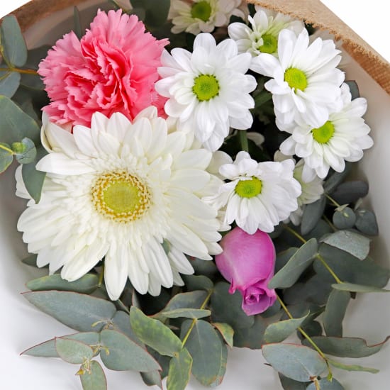 Little Pastel Petals - Standard