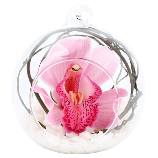 Orchid Orb - Standard