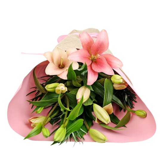 Lily Bunch - Standard