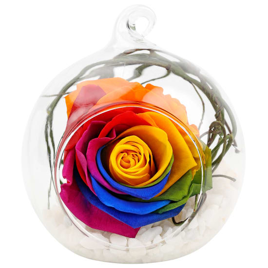 Preserved Rainbow Rose Orb - Standard