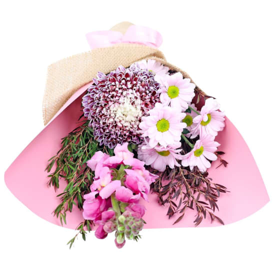 Little Lilac Fantasy - Standard