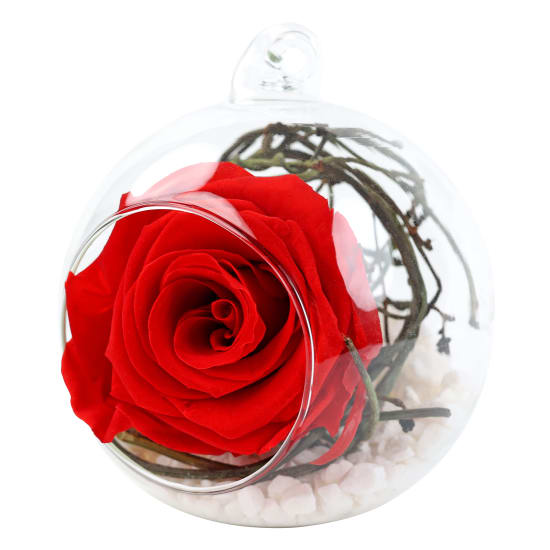 Preserved Red Rose Orb - Standard