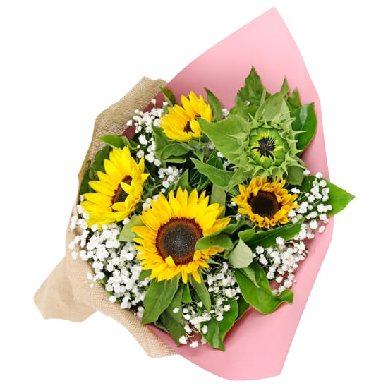 Cheerful Sunflowers - Premium