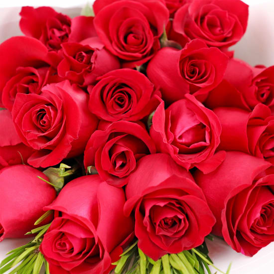 Valentine's 18 Rose Bouquet - 18 Roses