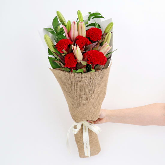 Extraordinary - Standard