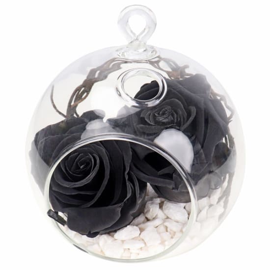 Preserved Black Rose Orb  - Deluxe