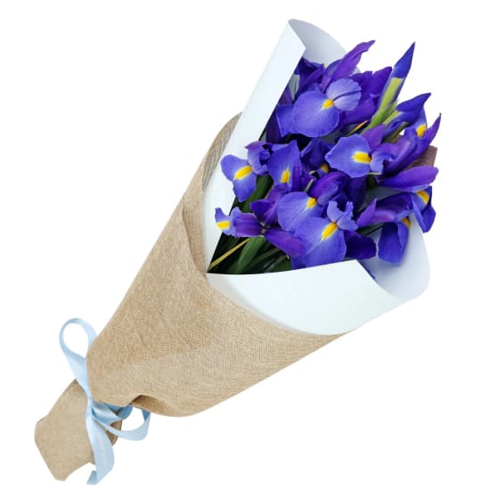 Mother's Day Iris - Standard