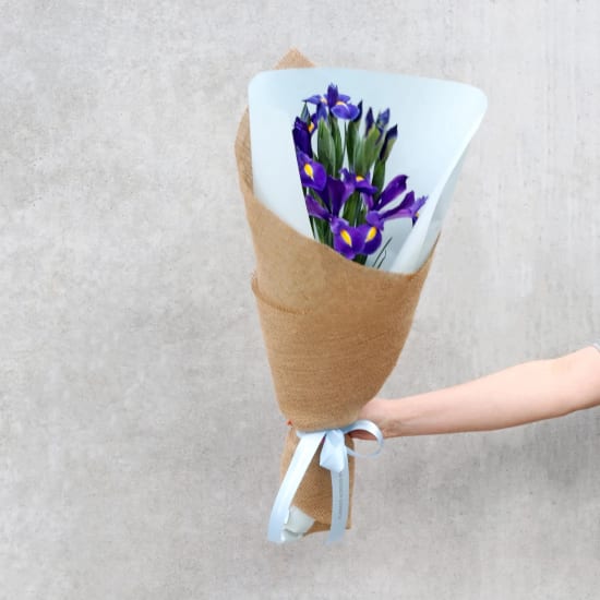 Mother's Day Iris - Standard