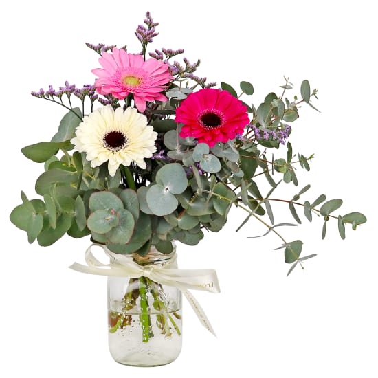 Mini Gerbera Blossoms - Standard