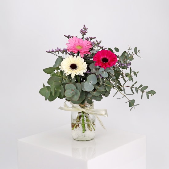 Mini Gerbera Blossoms - Standard