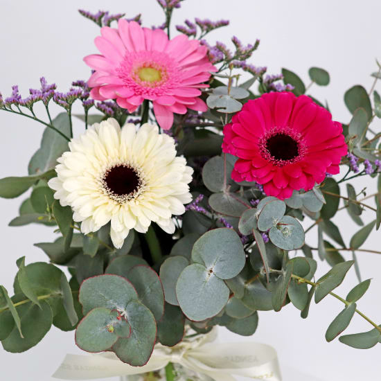 Mini Gerbera Blossoms - Standard